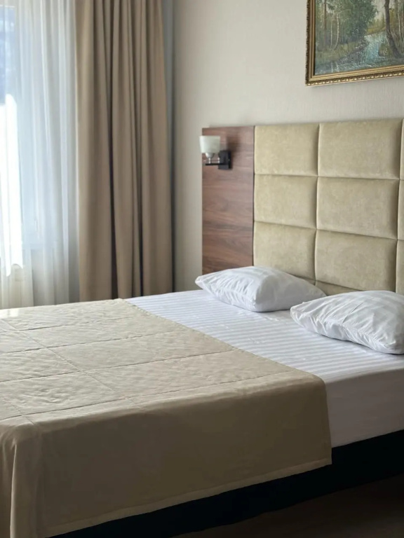 Comfort Double room (full double bed)