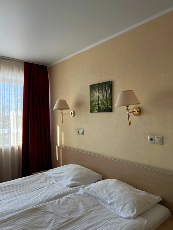 Amaks Omsk Hotel Room Type - Standard Double room full double bed