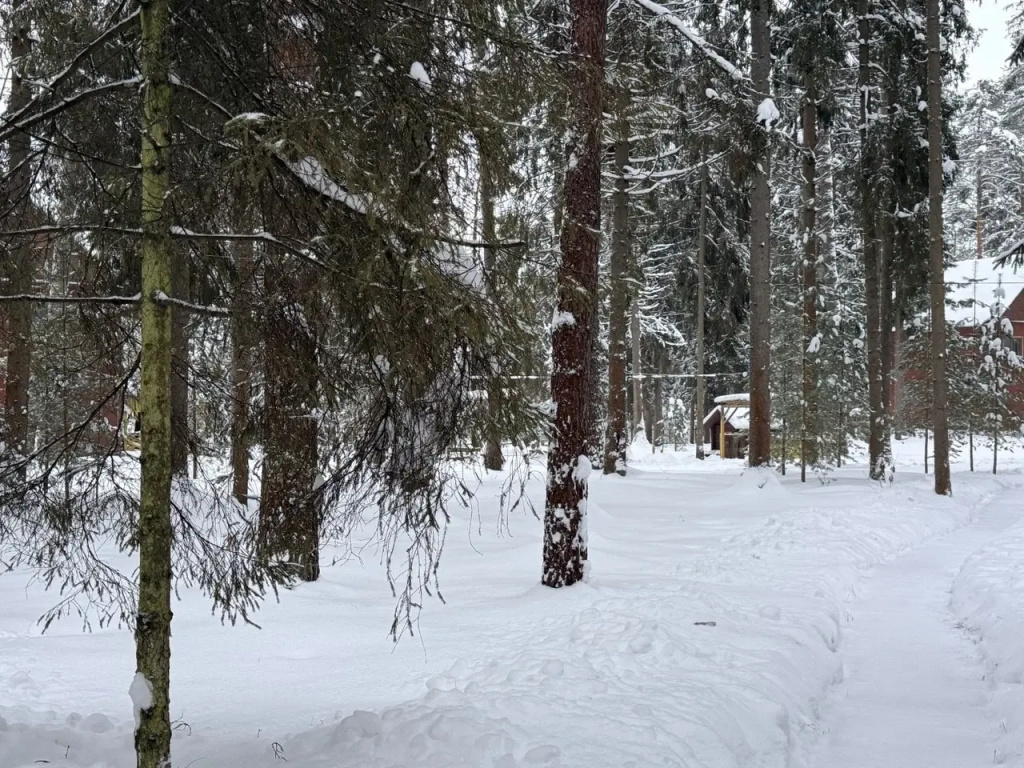 База отдыха Плещеево