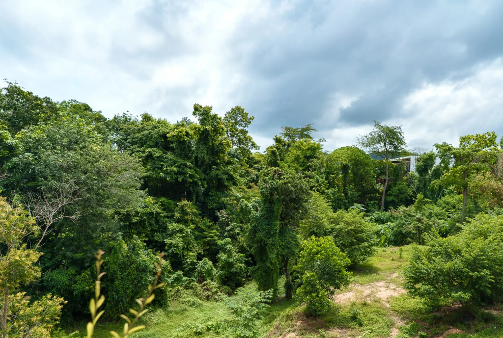 Amazing La Green 10 min walk to Layan Beach Apartments
