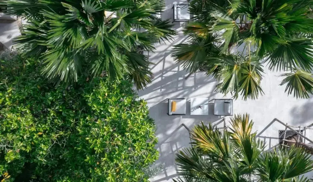 The Royal Paradise Hotel & Spa - Général