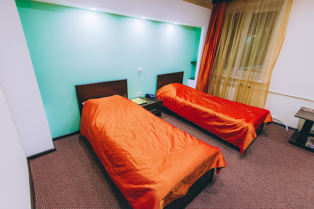 Aleksandr Haus Hotel Room Type - Standard Double room with city view twin beds