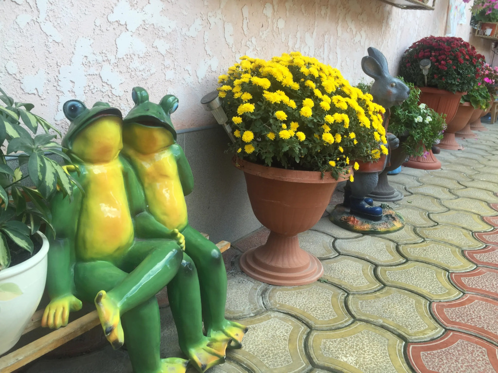 Гостевой Дом У Дмитрия - фото 9