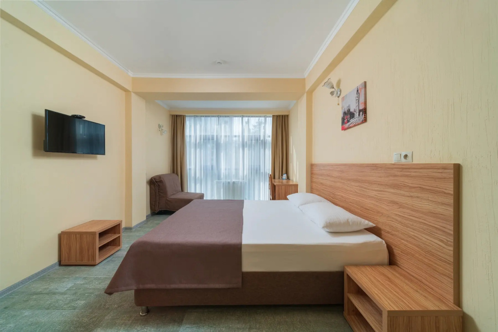Room Hotel Room Type - Standard Plus Double room full double bed