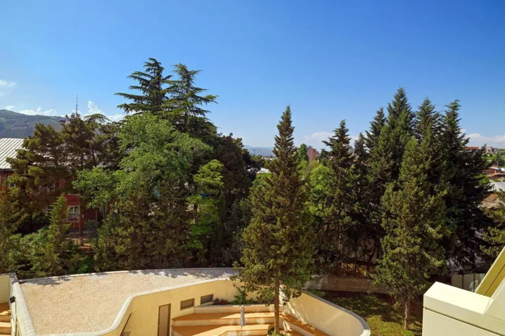Sheraton Grand Tbilisi Metechi Palace Hotel - фото 42
