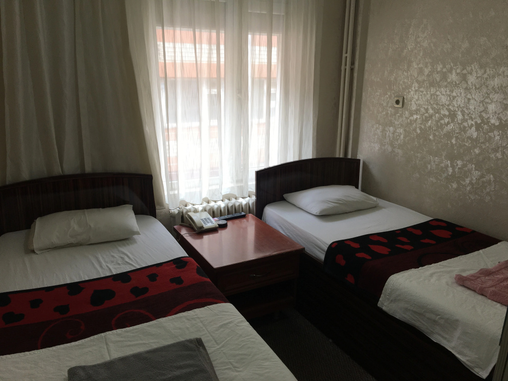 Standard Double room (twin beds)