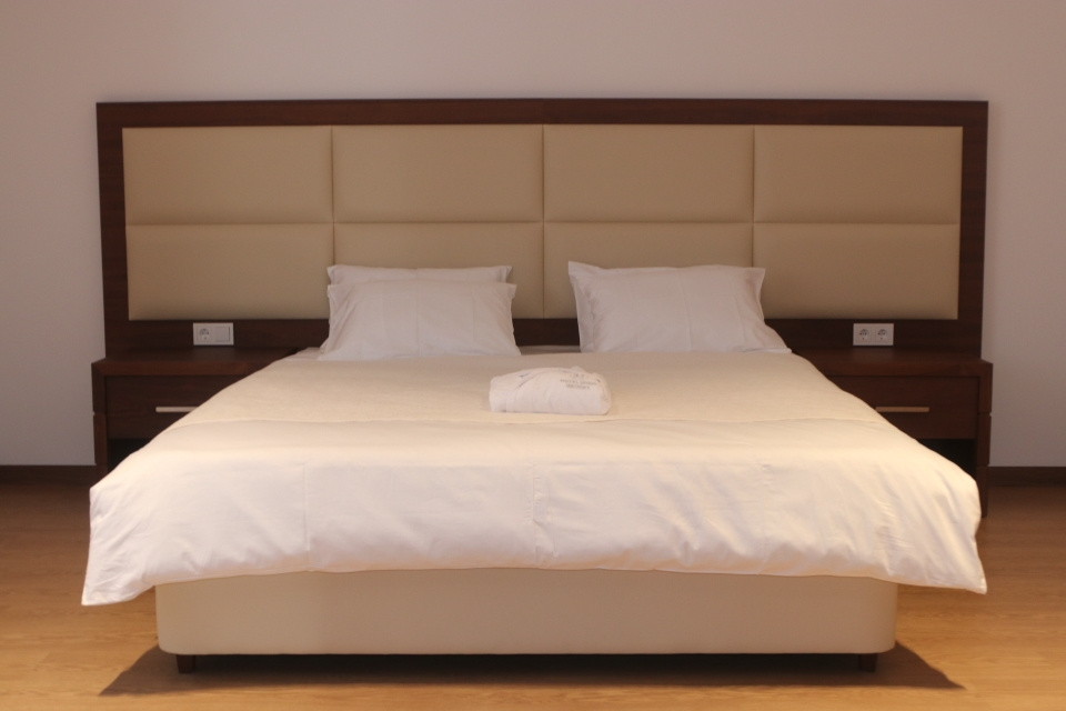 Union Grozny Hotel Room Type - Standard Double room with city view full double bed