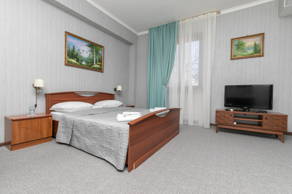 Comfort Double room (full double bed)