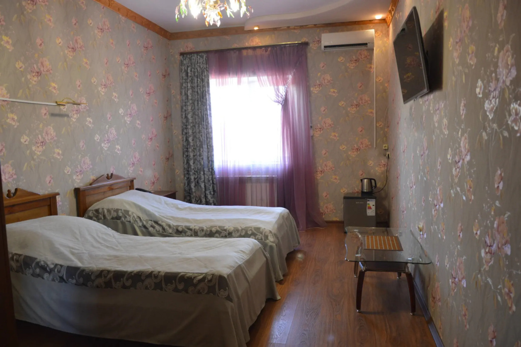 Standard Double room with city view (twin beds)