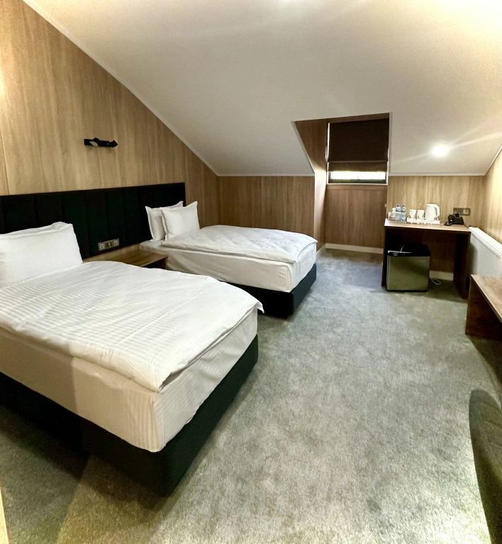 Economy Double room (twin beds)