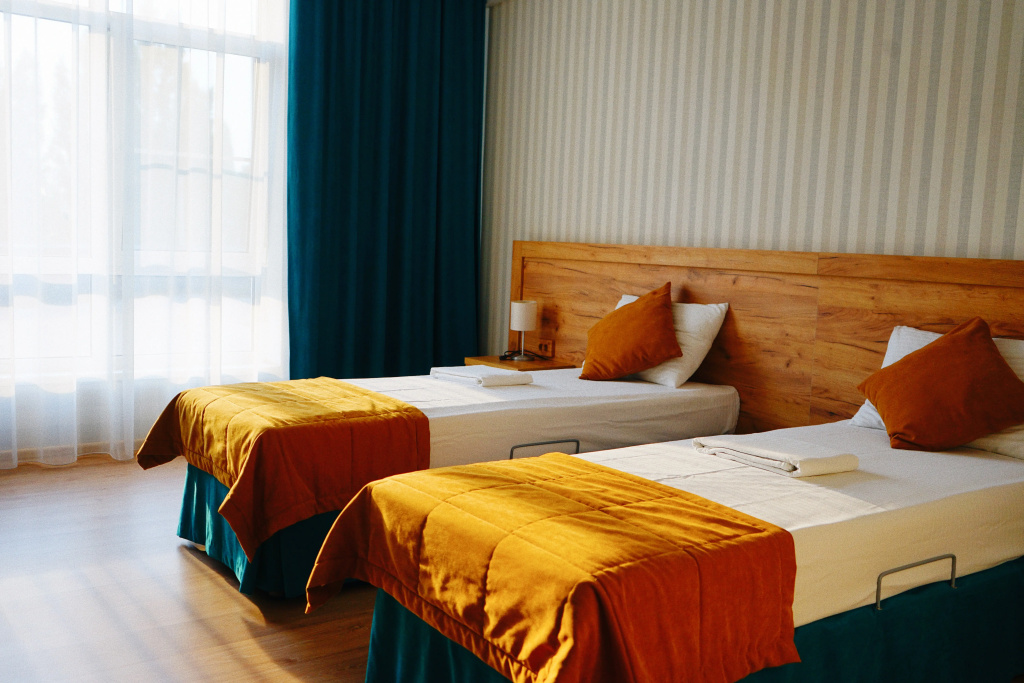 Standard Double room (twin beds)