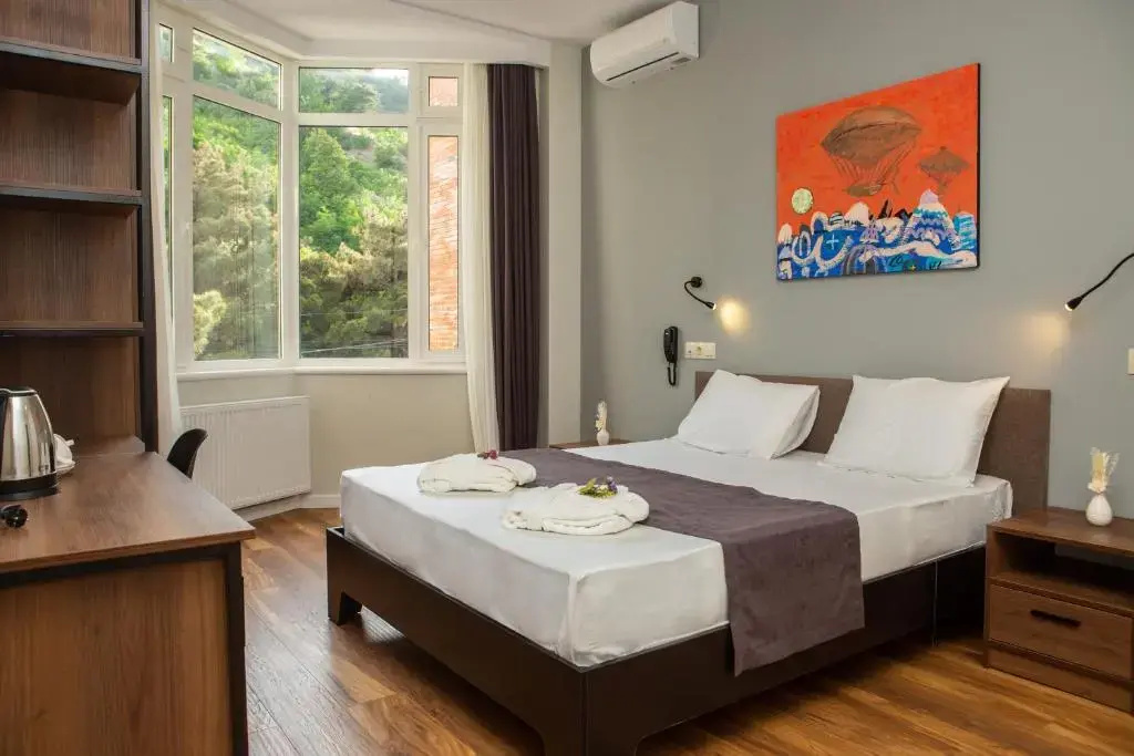 Standard Double room (full double bed)