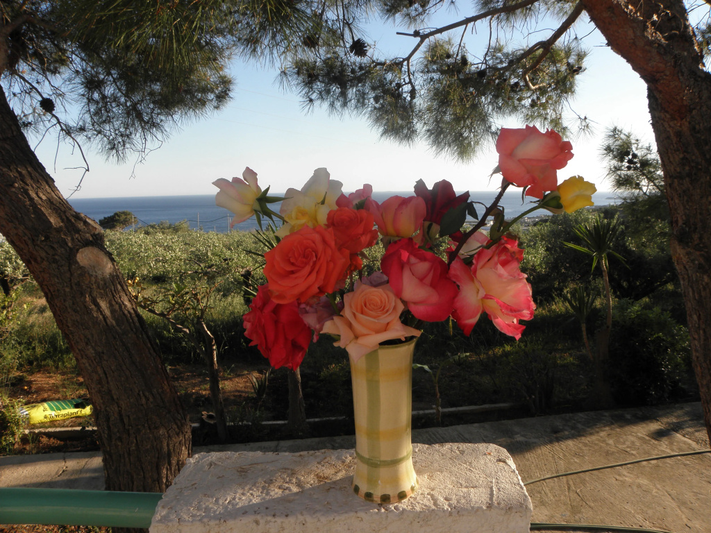 Hotel photo 33