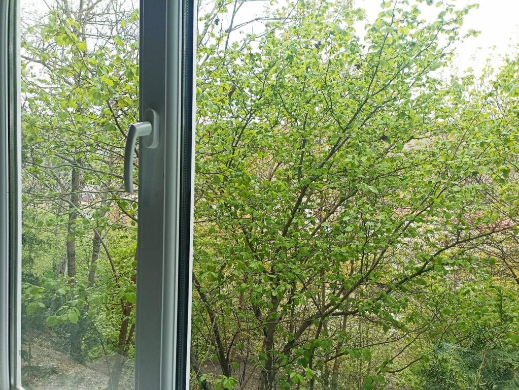 Hotel photo 46