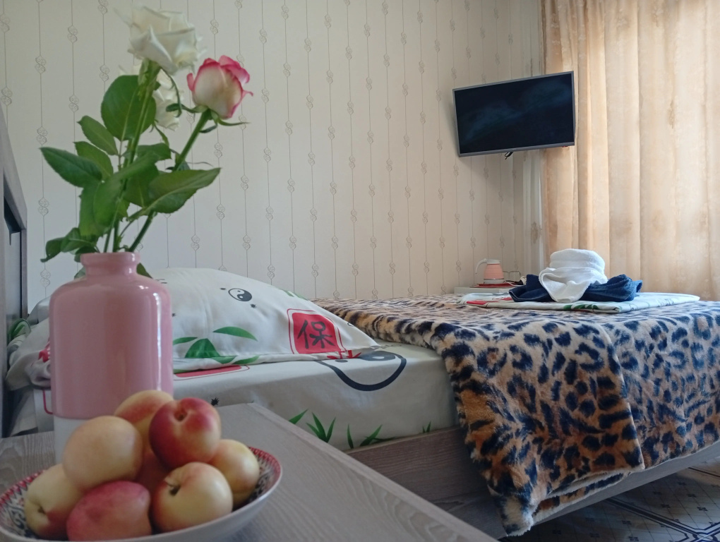 Superior Double room (full double bed)