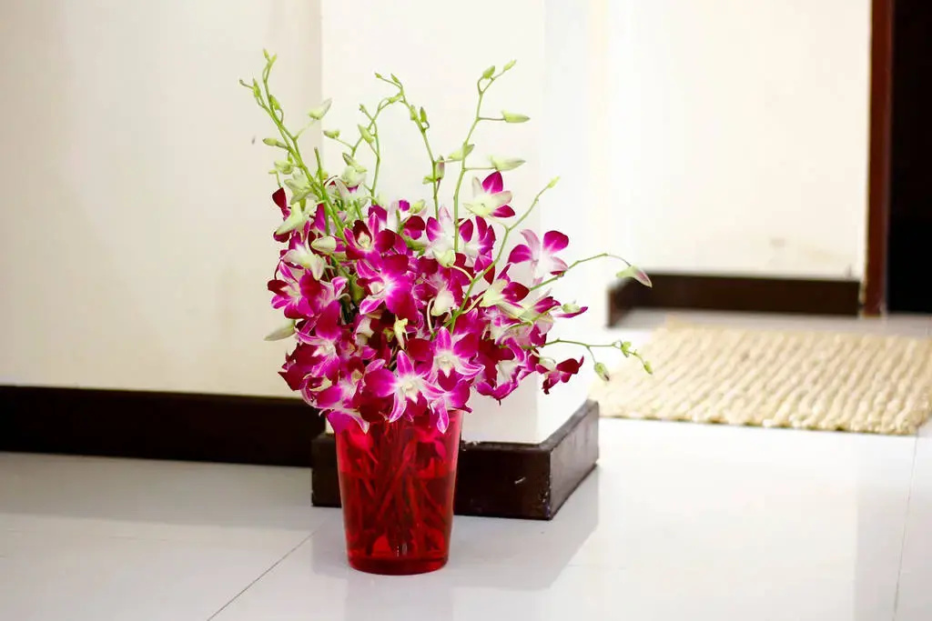 Hotel photo 27