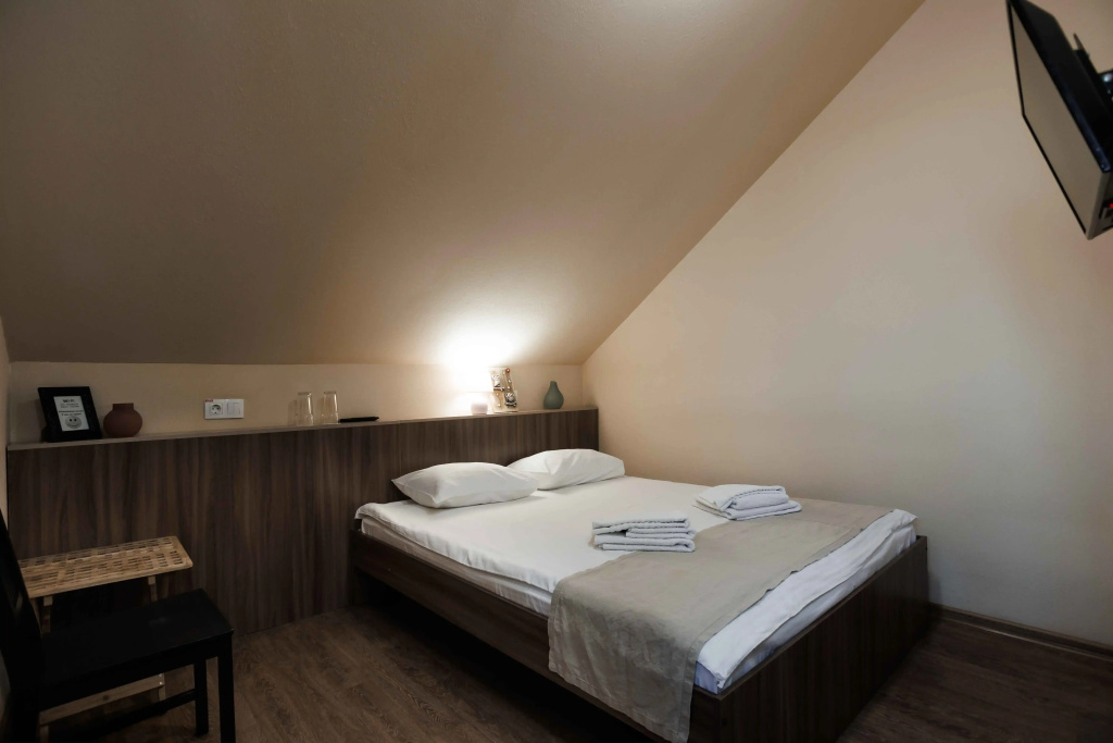Hotel Rostovskiy Room Type - Economy Double room full double bed
