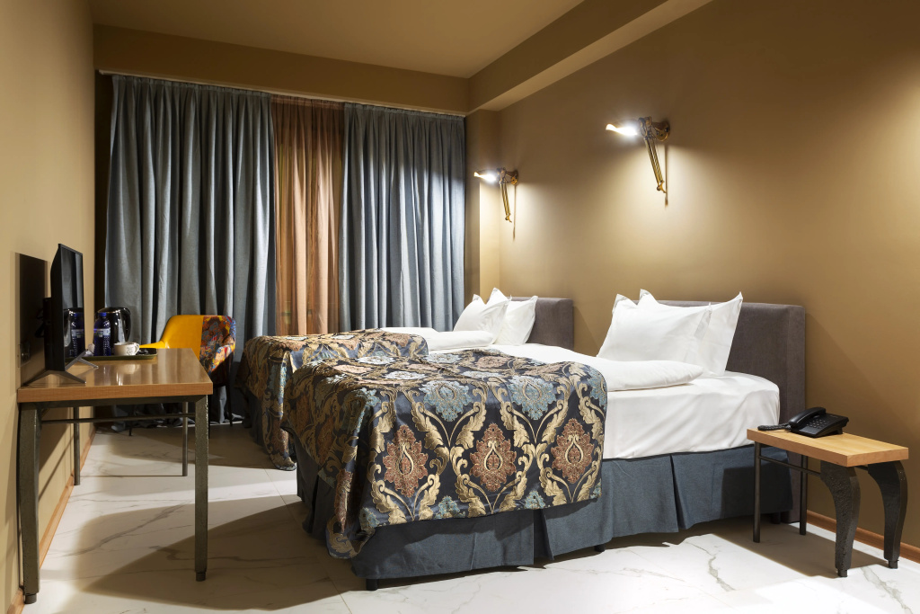 Economy Double room with city view (twin beds)
