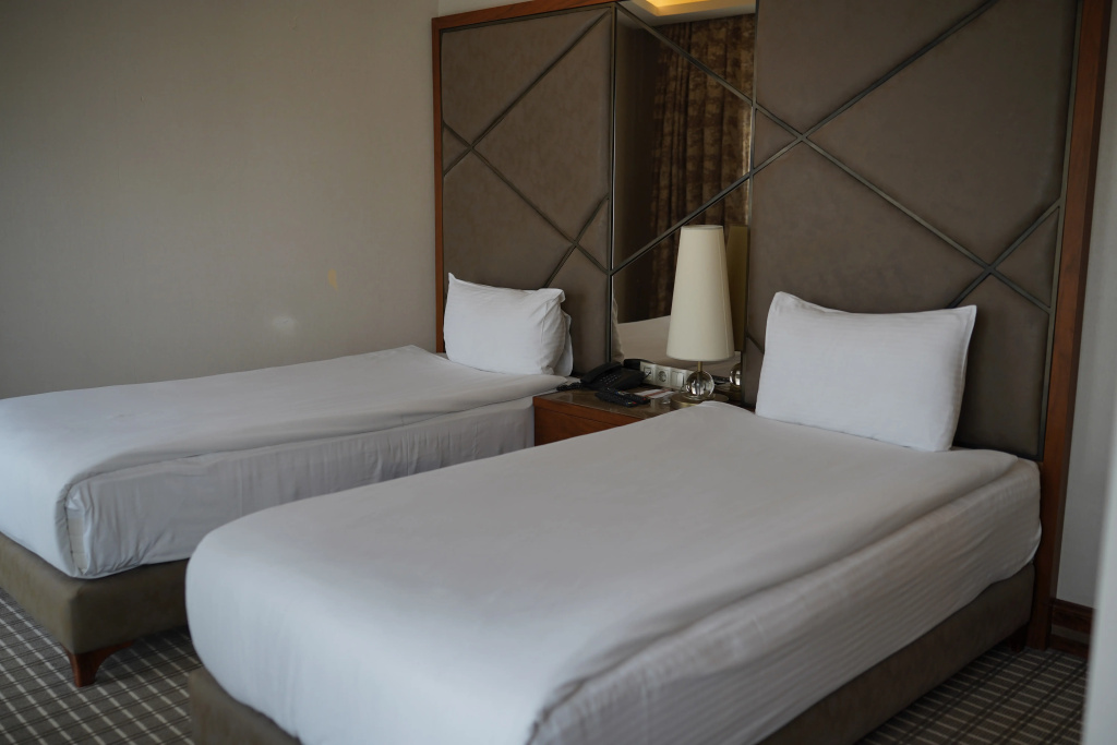 Standard Double room (twin beds)