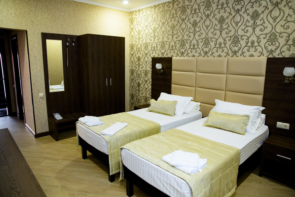 Standard Double room with city view (twin beds)