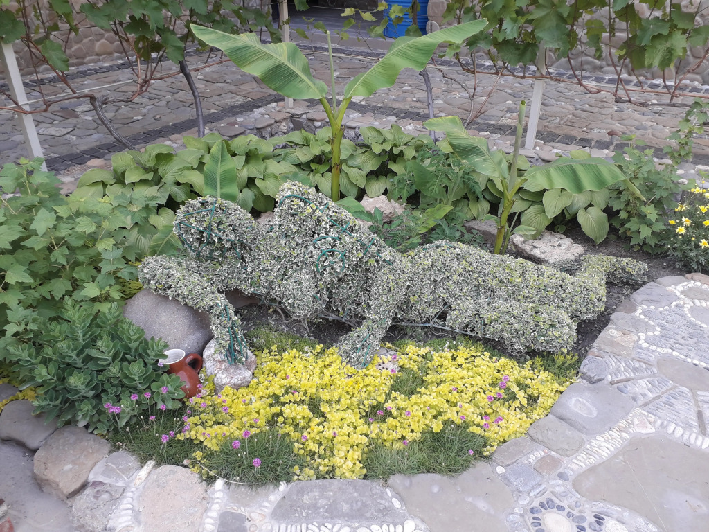 Hotel Loza - фото 18