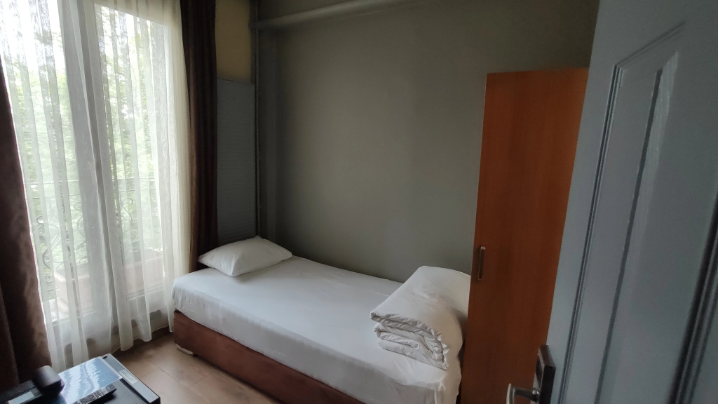 Economy Single room with balcony and with view