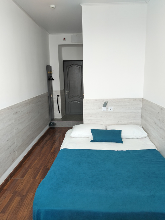 Standard Double room with city view (full double bed)
