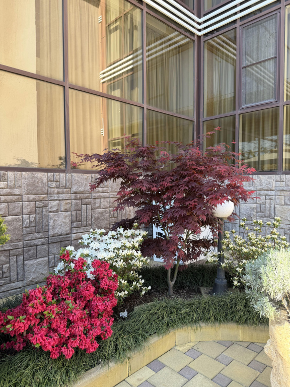 Hotel photo 17