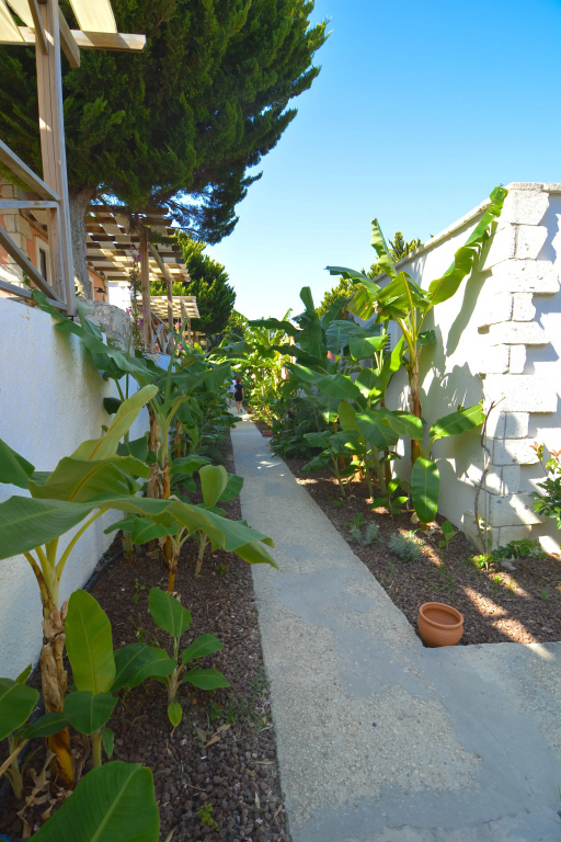 Hotel photo 29