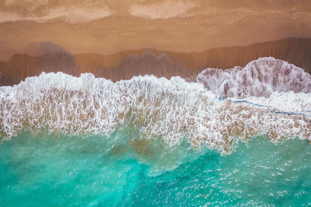 Paloma Orenda — фото 6