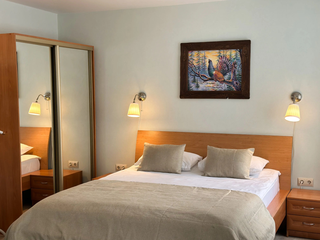 1 room Deluxe Double Apartment with city view (full double bed)