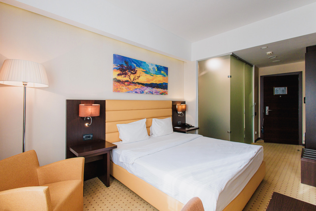 Двухместный номер Standard двуспальная кровать в Comfort Hotel Astana