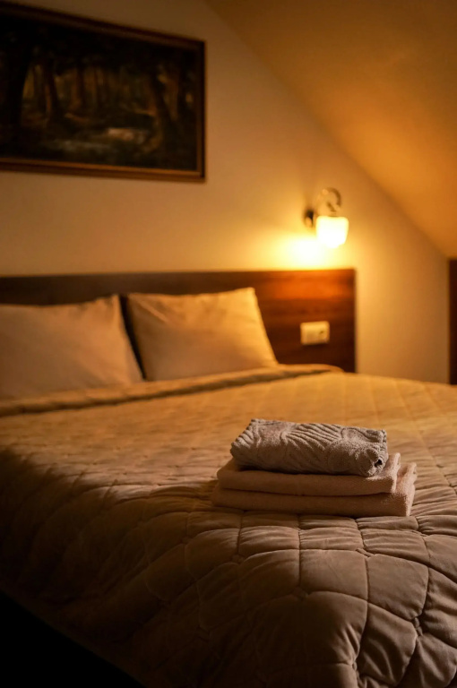 Superior Double Attic room with city view (full double bed)