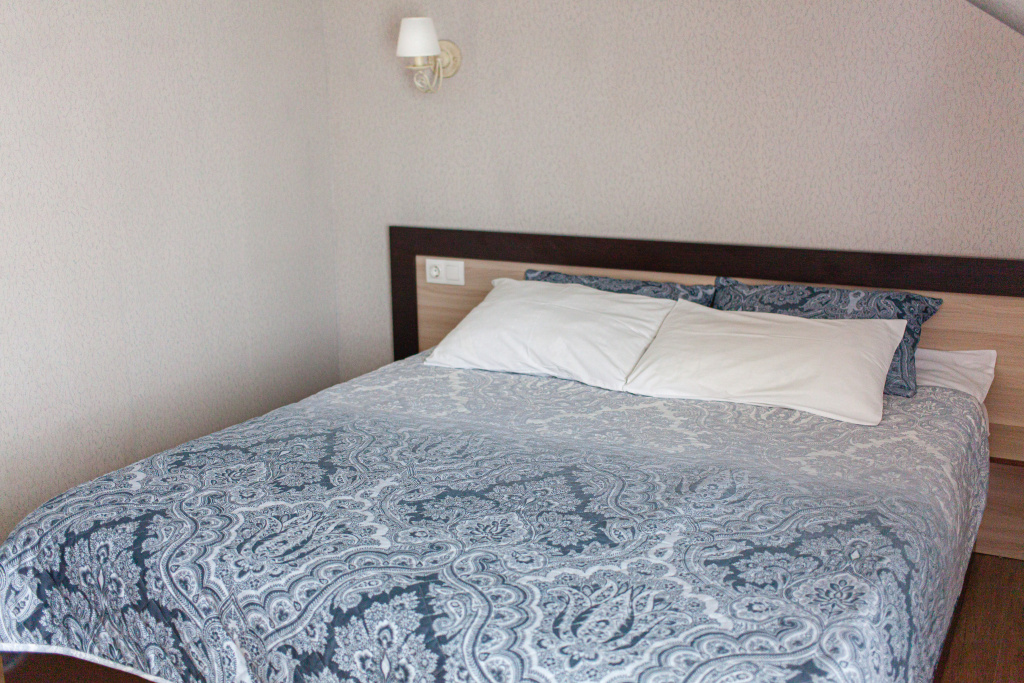 Atlas Mini-hotel Room Type - Classic Plus Double room full double bed