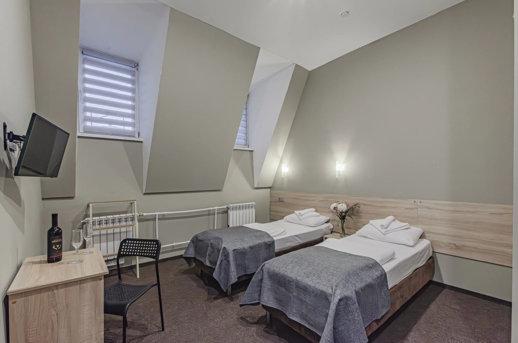 Standard Double Attic room (twin beds)