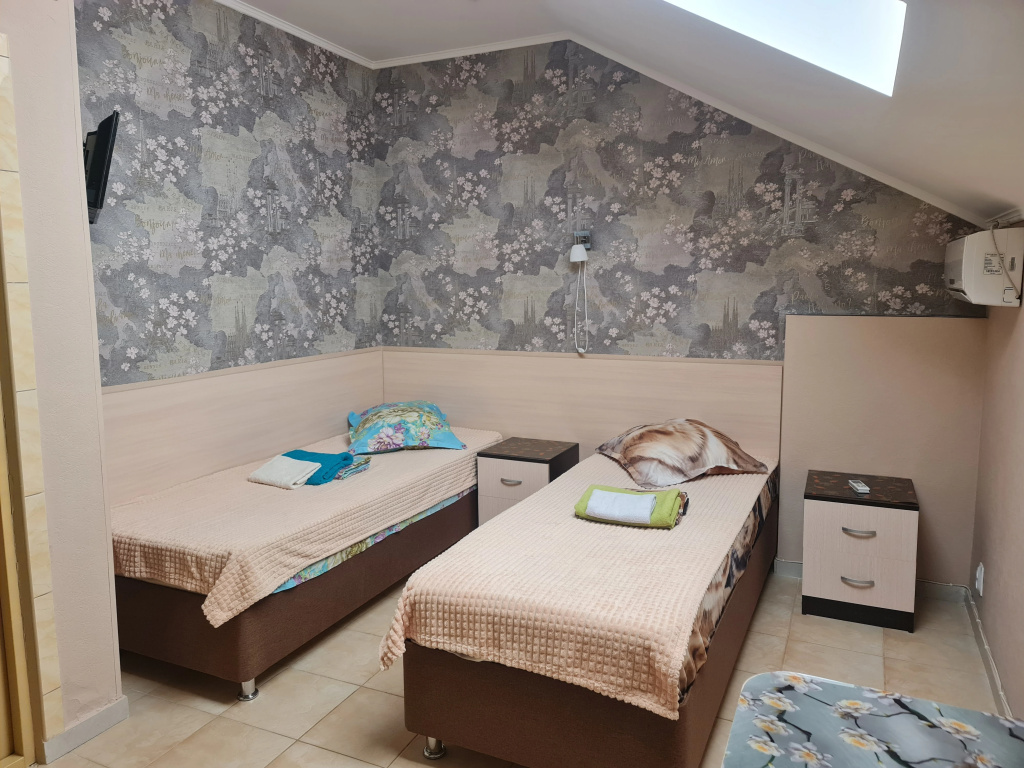 Economy Double Attic room (twin beds)