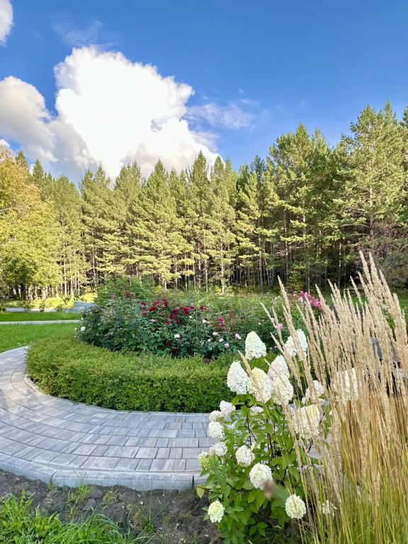 Гостиница Сосновый Бор - фото 5