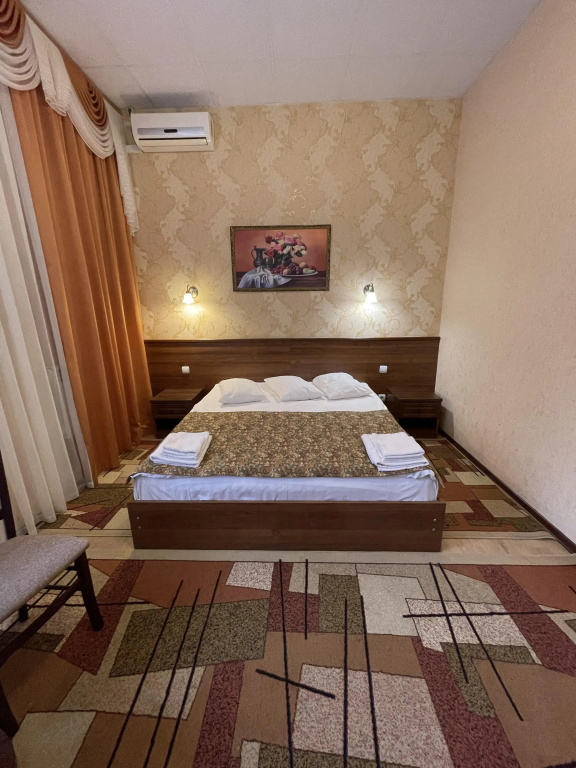 Ryazan' Hotel Room Type - Comfort Double room full double bed
