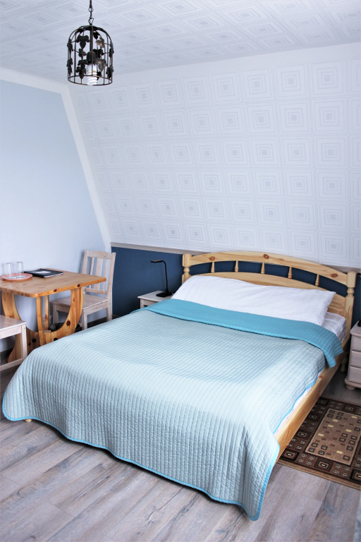 Vyirubovo Hotel Room Type - Comfort Double room full double bed