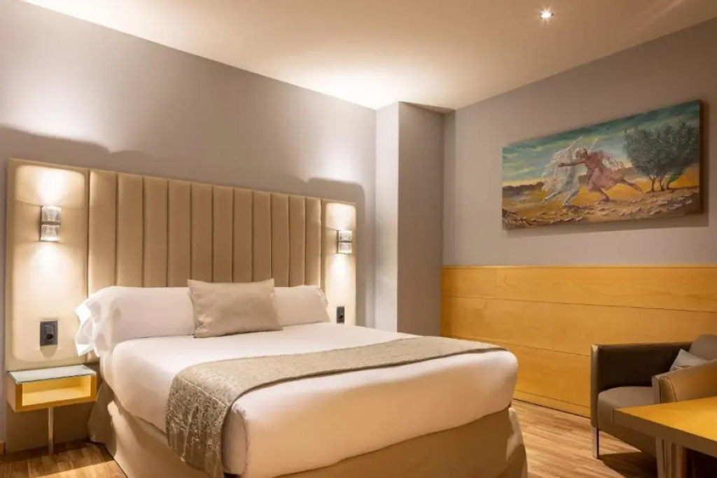 Basic Double room (full double bed)