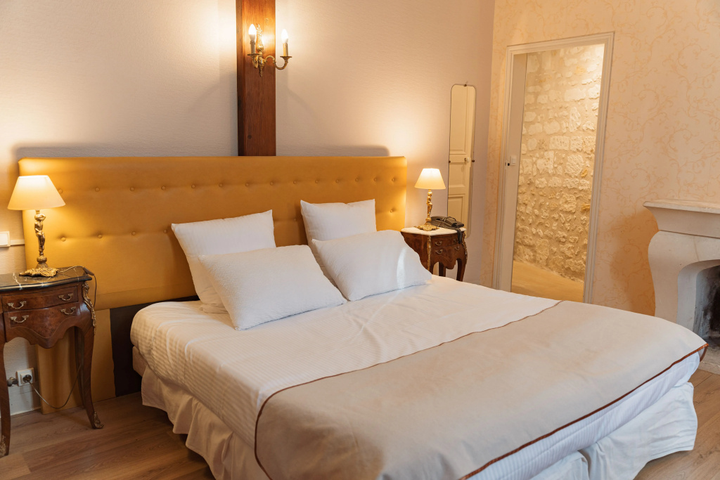 Hotel Brit Hotel Chinon le Lion d'Or - Général