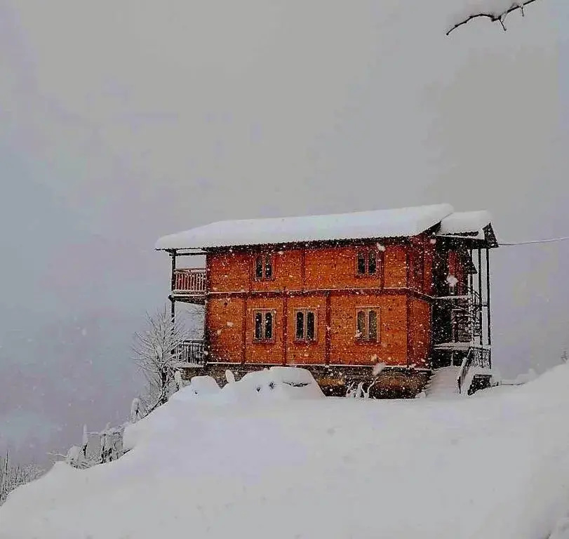 Wooden House Garetke Villa