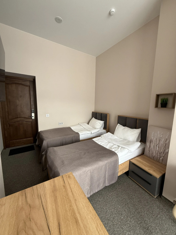 Economy Double room with balcony and with mountain view (twin beds)