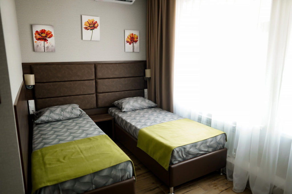 Standard Double room (twin beds)