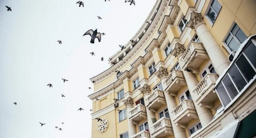 Апартаменты 2-х комнатные с прекрасным видом в самом центре города — фото