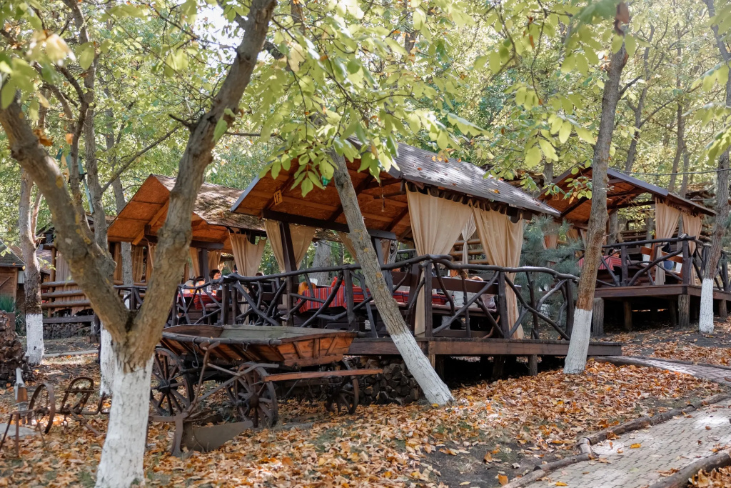 Poiana Bradului Complex Hotelier & Restaurant Resort - Général