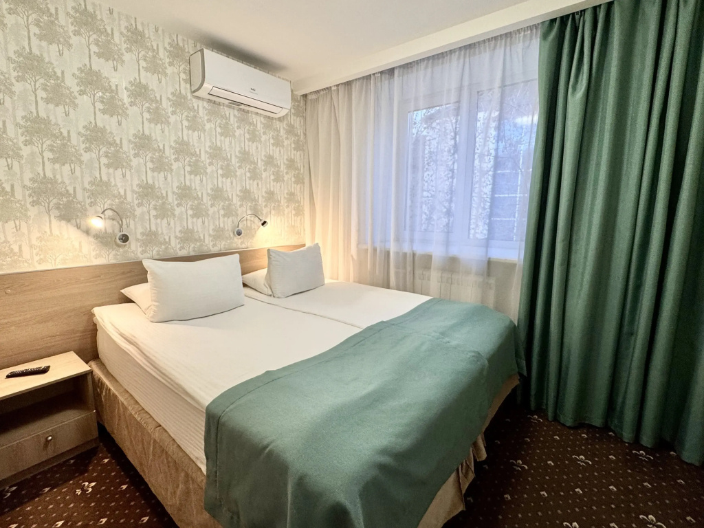 Standard Double room (full double bed)
