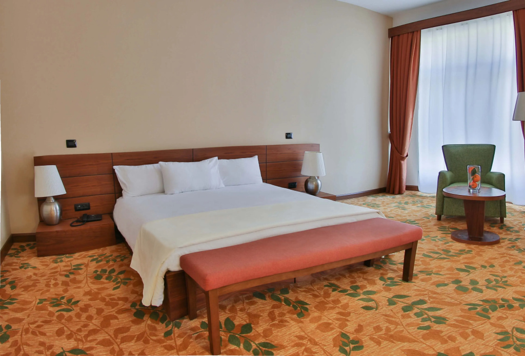 Standard Double room with mountain view (full double bed)