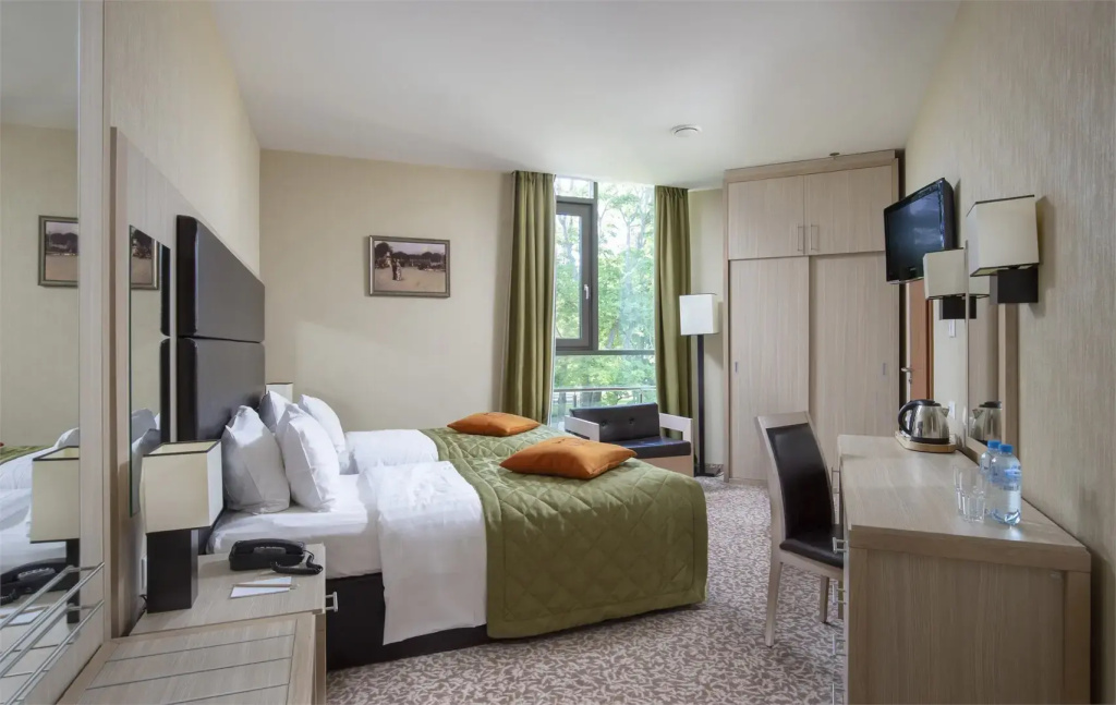 Superior Double room with view twin beds