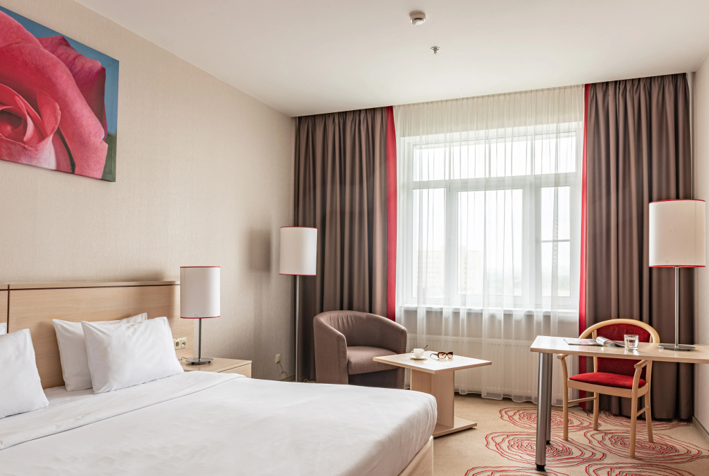 Intourist Kolomenskoe Room Type - Standard Double room with city view full double bed